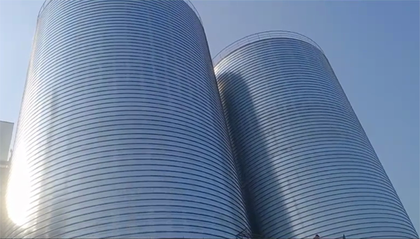 孝感2座混凝土高架卷板仓